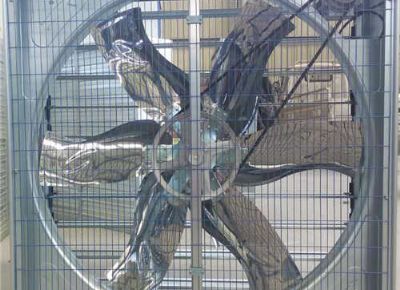 點(diǎn)擊查看詳細(xì)信息<br>標(biāo)題：Push Pull Type Animal Husbandry Fan 閱讀次數(shù)：2306