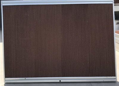 點(diǎn)擊查看詳細(xì)信息<br>標(biāo)題：Wet Curtain 閱讀次數(shù)：1836