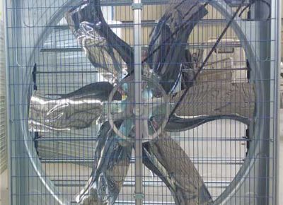 點(diǎn)擊查看詳細(xì)信息<br>標(biāo)題：Push Pull Negative Pressure Fan 閱讀次數(shù)：1408